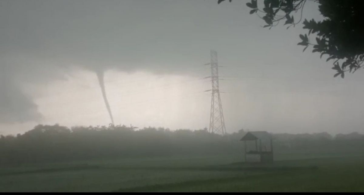Angin puting beliung terjang persawahan milik warga di Bojonegoro. (Foto: Tangkapan layar/jatimnow.com)