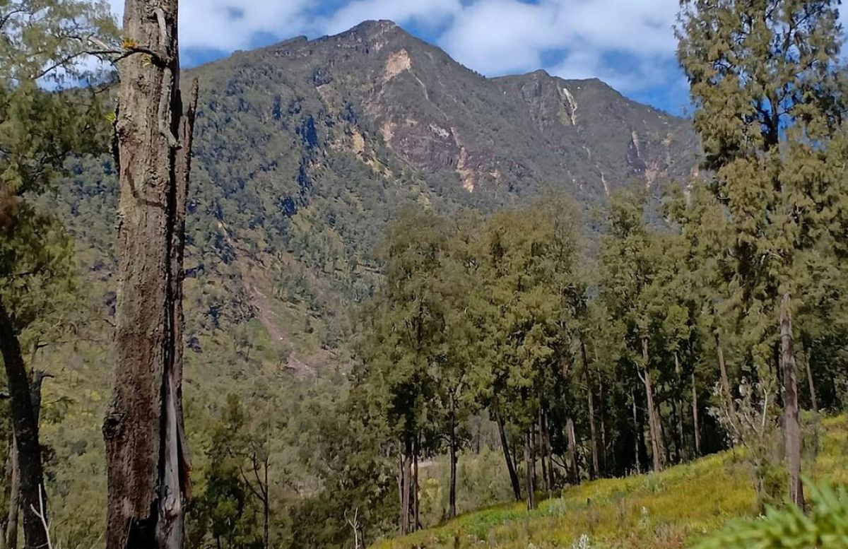 Jika Ingin Selamat, Hindari Jalur Pendakian Gunung Arjuno-Welirang Ini