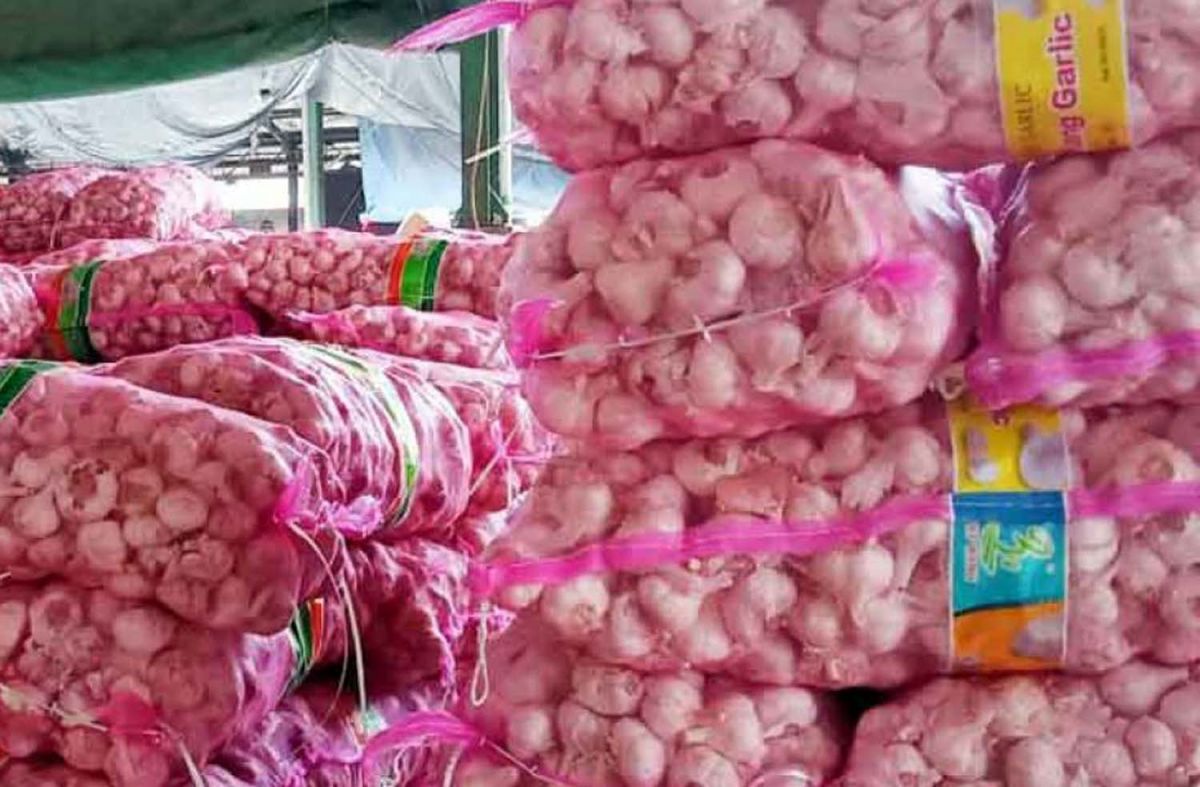 Ilustrasi bawang putih (Foto: Dok. jatimnow.com)