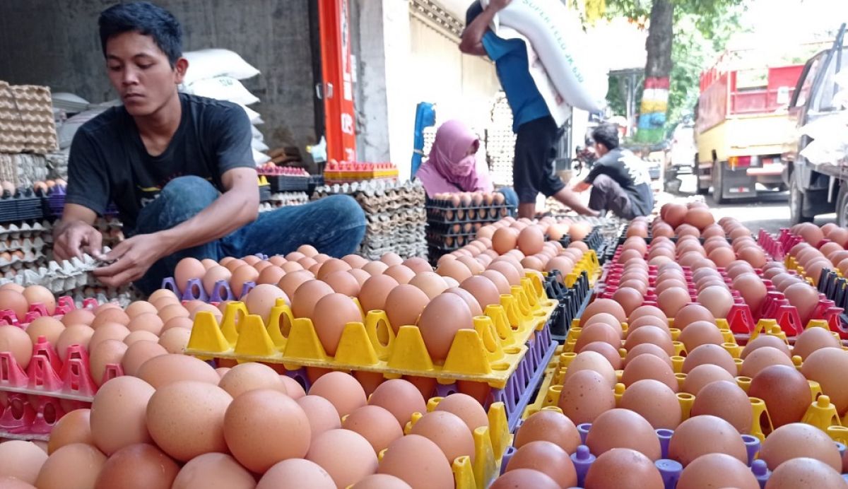 Salah satu toko penjual telur di Ponorogo (Foto: Mita Kusuma/jatimnow.com)