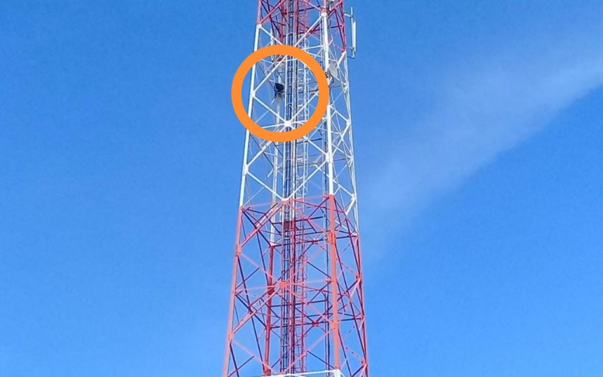 Aksi nekat pemuda di Probolinggo panjat tower setinggi 70 meter (Foto: Mahfud Hidayatullah/jatimnow.com)