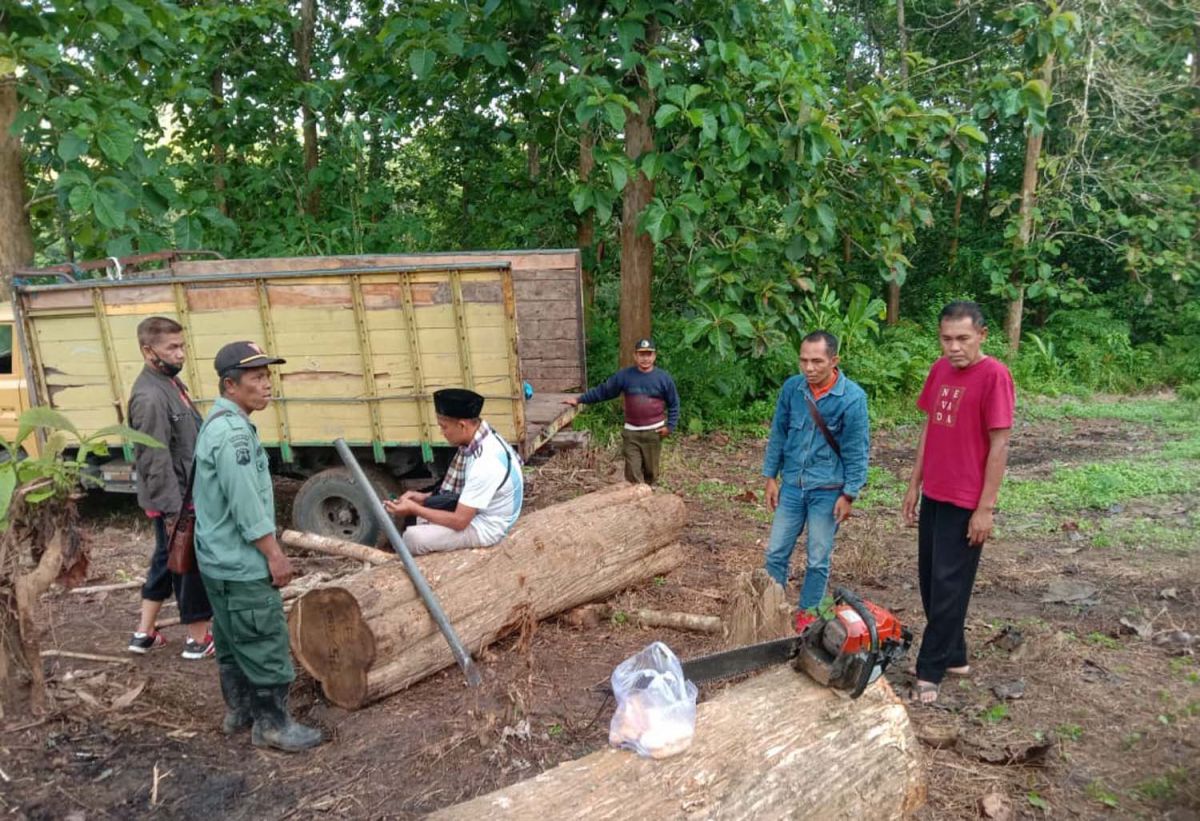 Perhutani menyita truk dan kayu jati hasil pembalakan di Banyuwangi