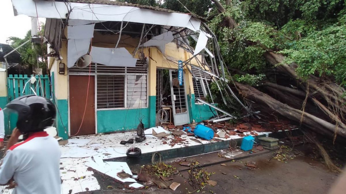 Pohon beringin roboh timpa ruang kelas di SMA 2 Kota Pasuruan. (Foto: Moch Rois/jatimnow.com)