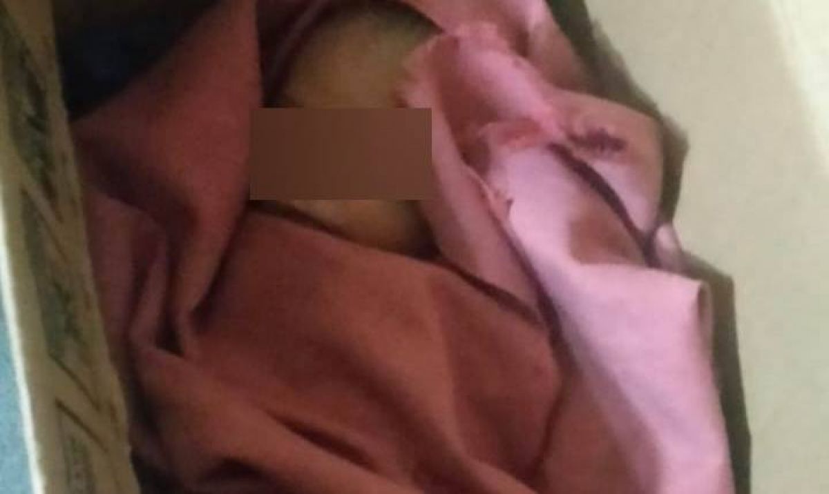 Tangis Bayi Dalam Kardus Gemparkan Warga Malang