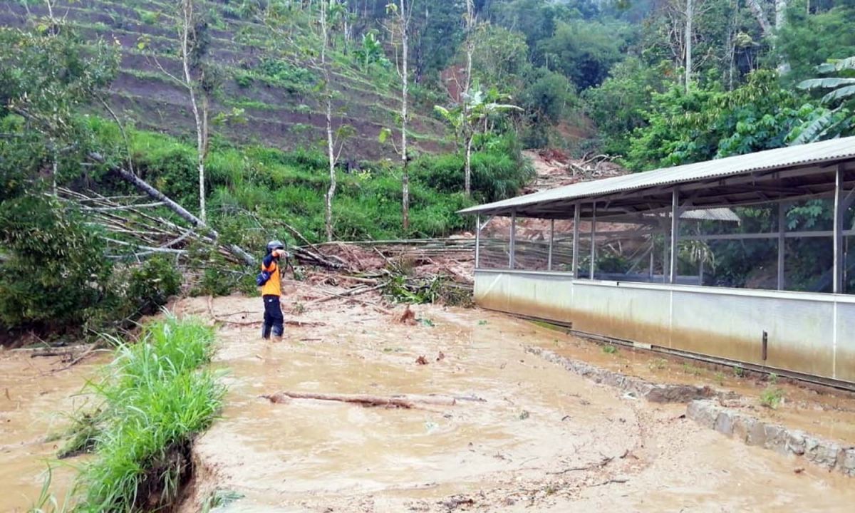 Salah satu bencana longsor di Ponorogo pada Tahun 2021 (Foto: BPBD Ponorogo)