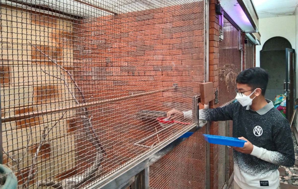 Keren, Peternakan Murai Batu Milik Pelajar SMP ini Beromzet Puluhan Juta Sebulan