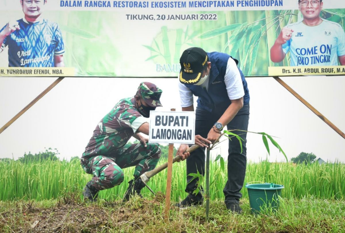 Bupati Lamongan Yuhronur Efendi dan Dandim 0812, Letkol Kav Endi saat menamam bambu. (Foto: Humas Pemkab Lamongan/jatimnow.com)
