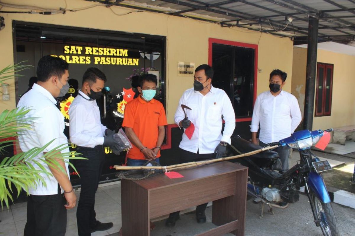 Pencuri yang Bacok Pemilik Mangga di Pasuruan Disergap dalam Rumah Istri Mudanya