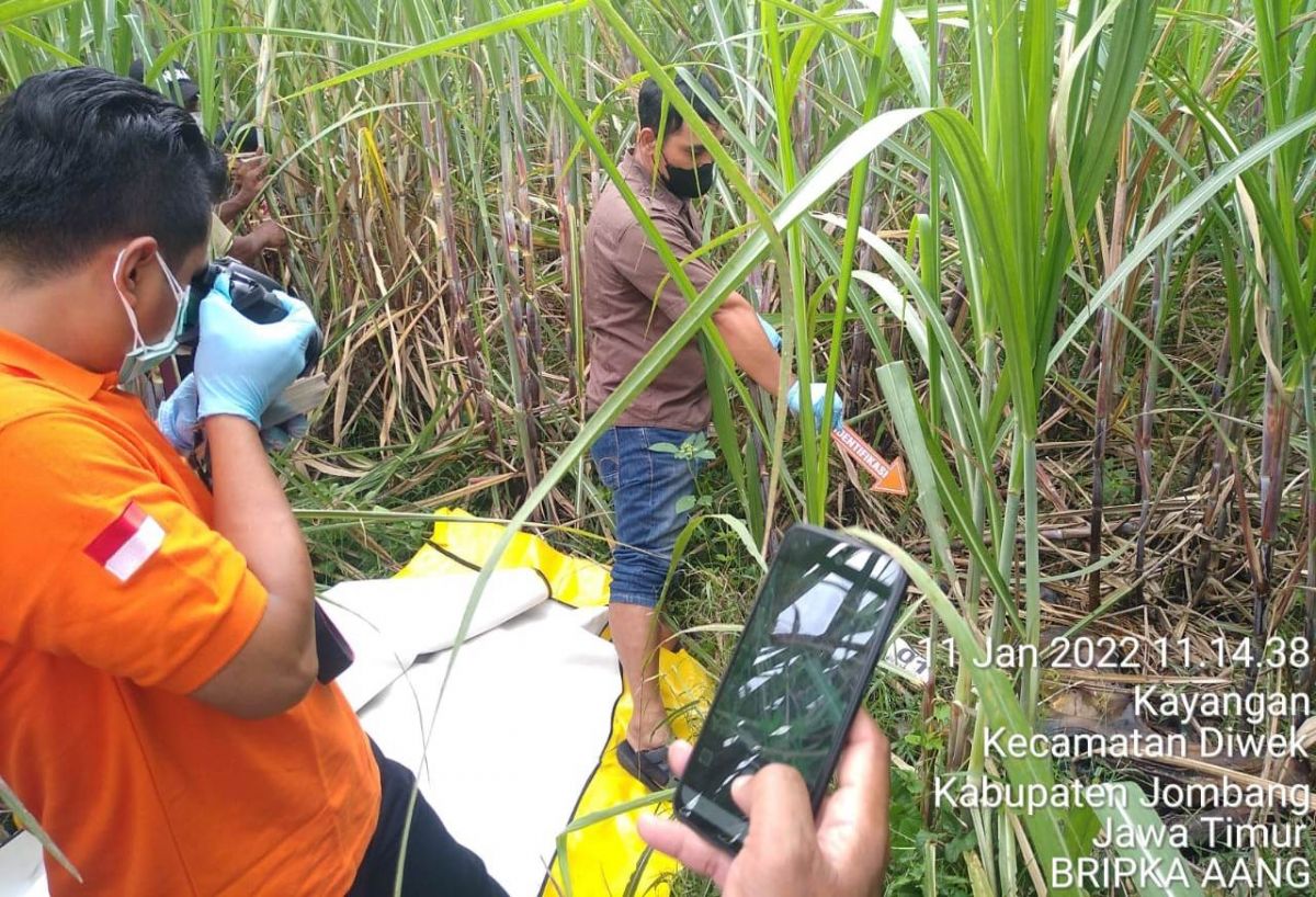 Identitas Mayat Perempuan Telanjang di Ladang Tebu Jombang Terungkap