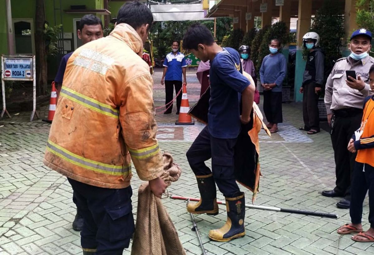 Petugas Damkar usai mengamankan ular (Foto: Damkar Gresik)