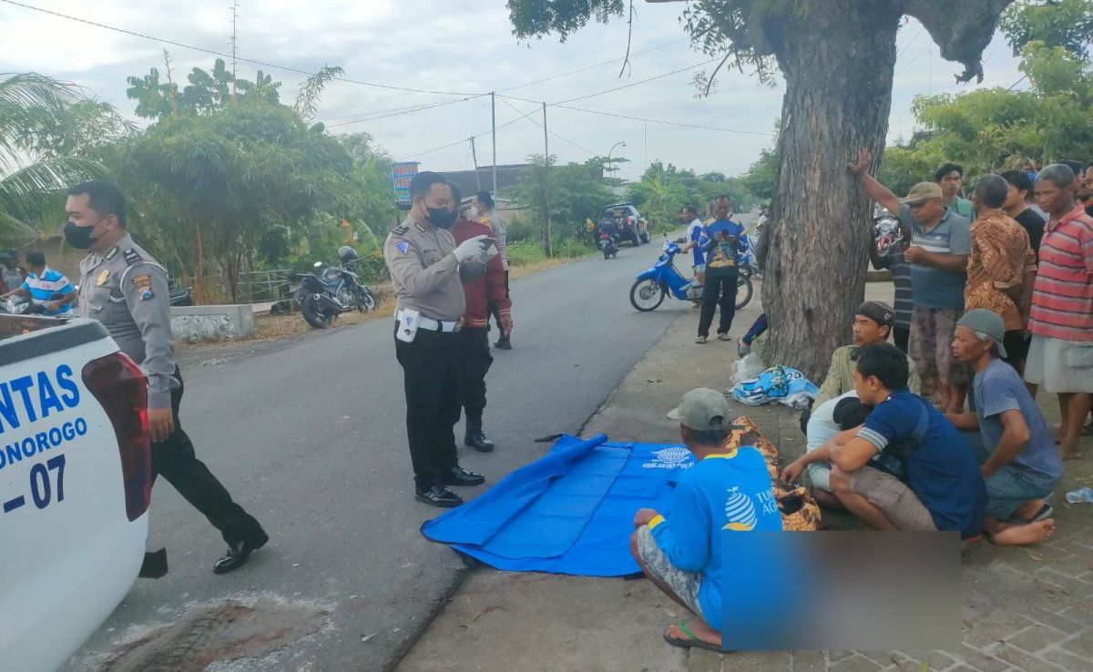 Pilihan Pembaca: Kecelakaan di Ponorogo dan Mojokerto serta Bantai Lumba-lumba