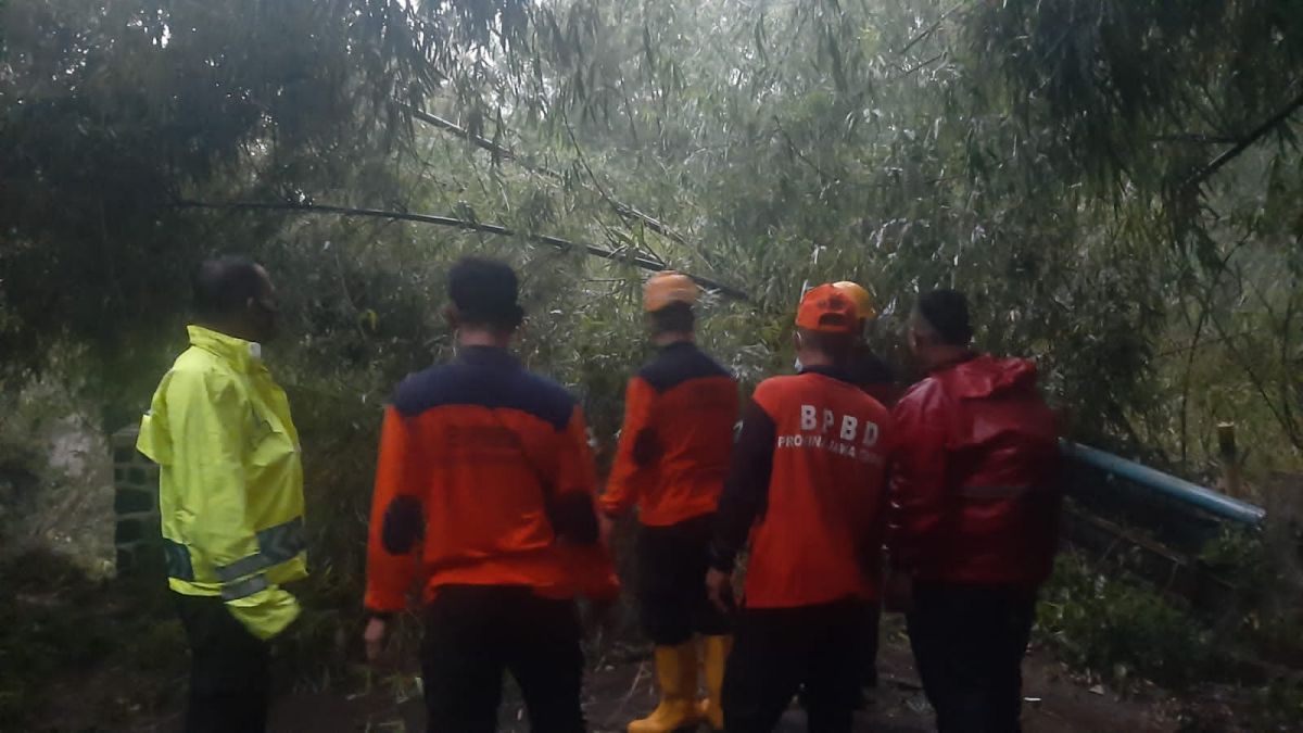 Hujan deras disertai angin kencang mengakibatkan sejumlah pohon di Probolinggo tumbang. (Foto: Mahfud Hidayatullah/jatimnow.com)