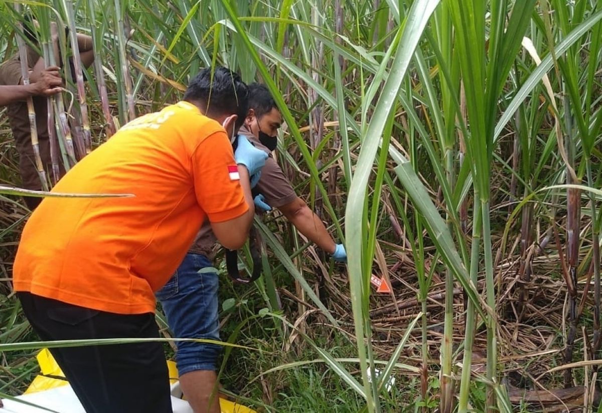 Polisi saat melakukan olah TKP lokasi penemuan mayat perempuan telanjang. (Foto: Polsek Diwek/jatimnow.com)
