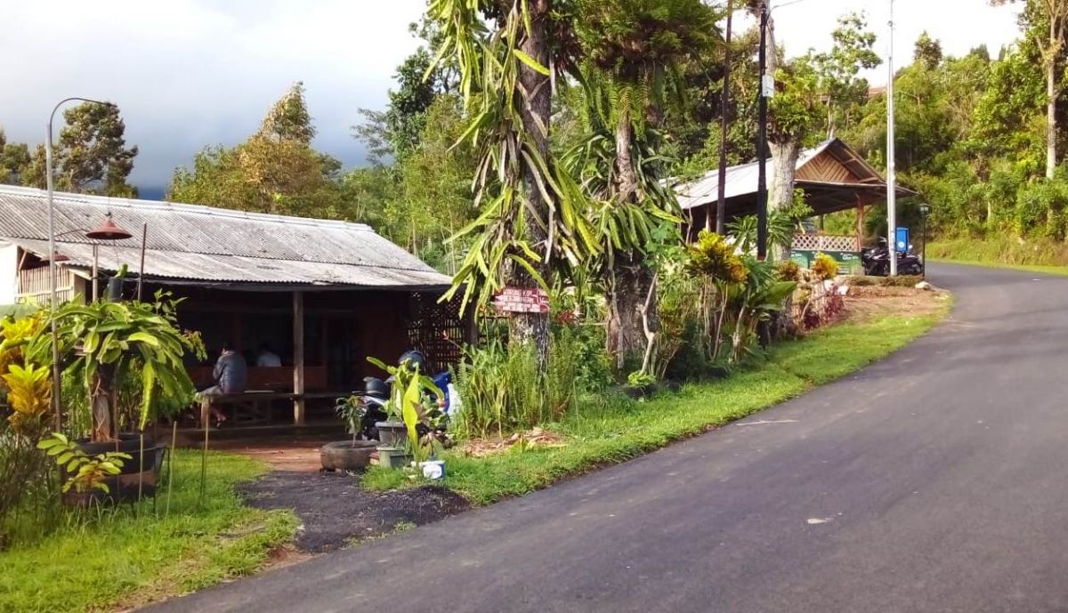 Cicipi Nikmatnya Kopi Mbah Warno di Kebun Buah Naga Puncak Rembangan Jember