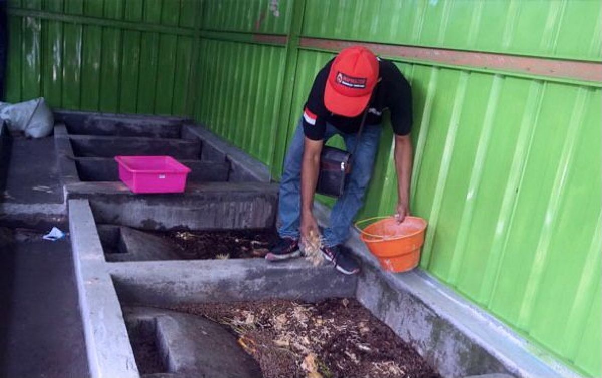 Tempat budidaya belatung maggot milik Pemdes Sidoharjo. (Foto-foto: Herman for jatimnow.com)