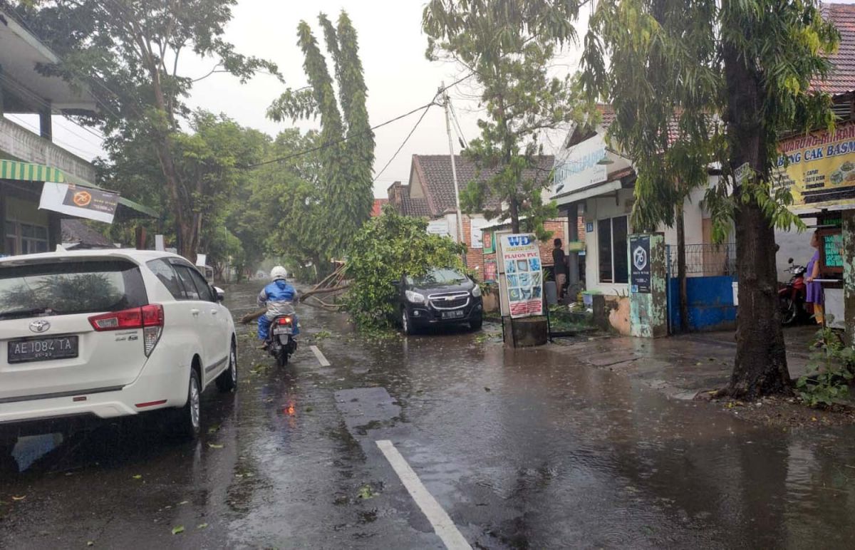Mobil tertimpa pohon tumbang akibat hujan angin di Ponorogo (Foto-foto: BPBD Ponorogo)