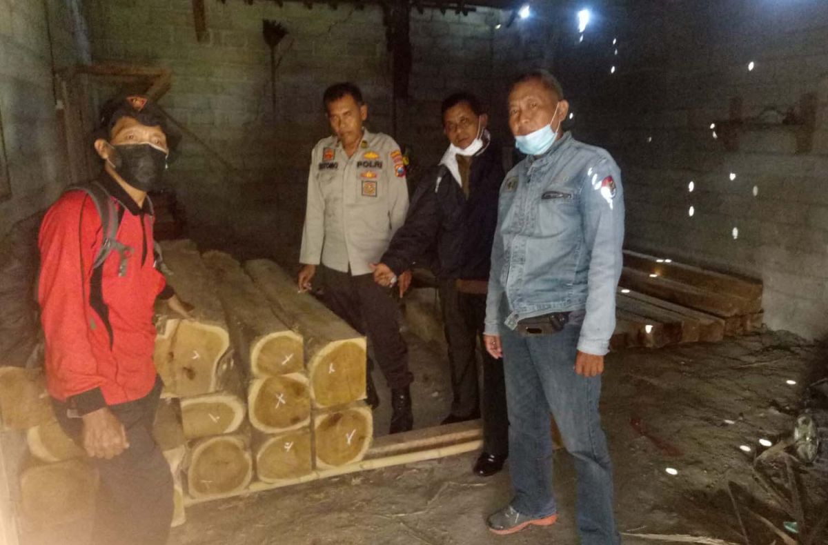 53 Batang Kayu Jati Ilegal Disita dari Gudang Milik Warga di Banyuwangi