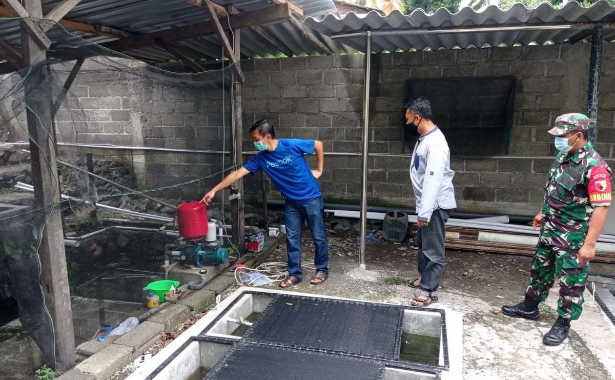 Kolam ikan hias di Banyuwangi, tempat pemuda meninggal tersengat listrik pompa air