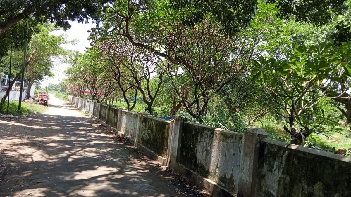 Makam Segok, Bangil, Pasuruan. (Foto: Moch. Rois/jatimnow.com)