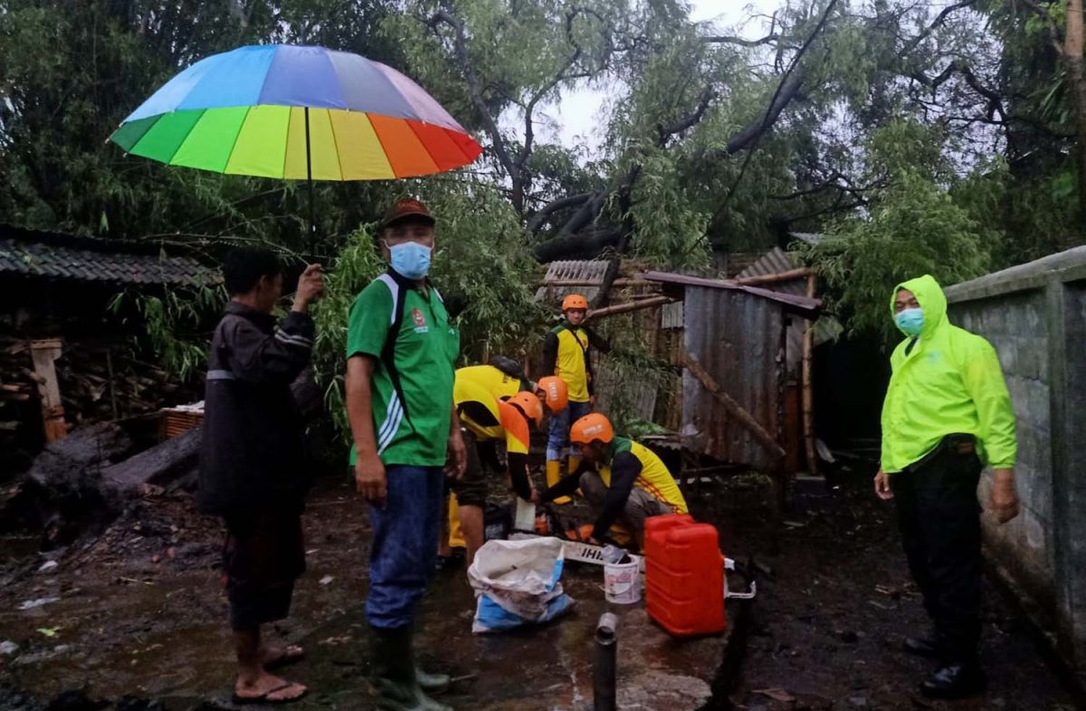 Petugas gabungan mengecek dampak puting beliung di Nguling, Pasuruan (Foto: Polsek Nguling)