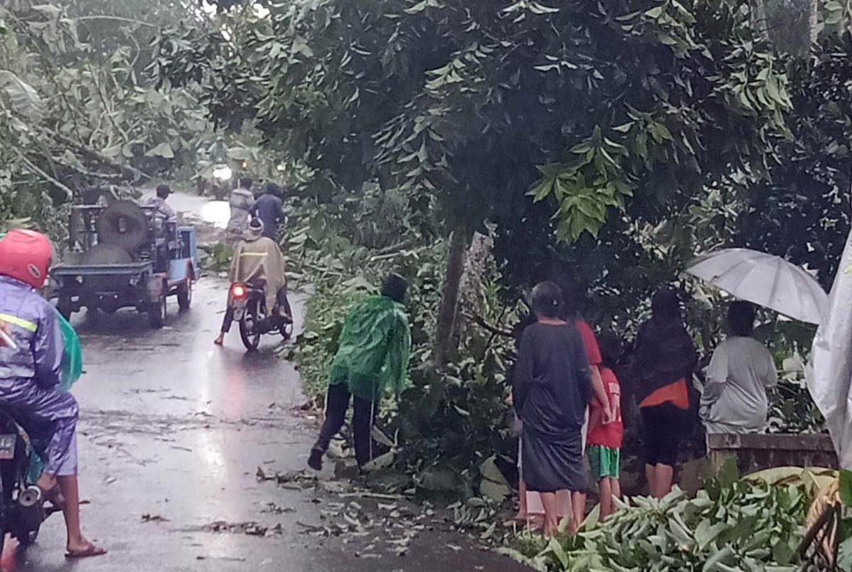 Dampak puting beliung yang menerjang empat desa di Kecamatan Lumbang, Kabupaten Probolinggo (Foto-foto: BPBD Kabupaten Probolinggo)