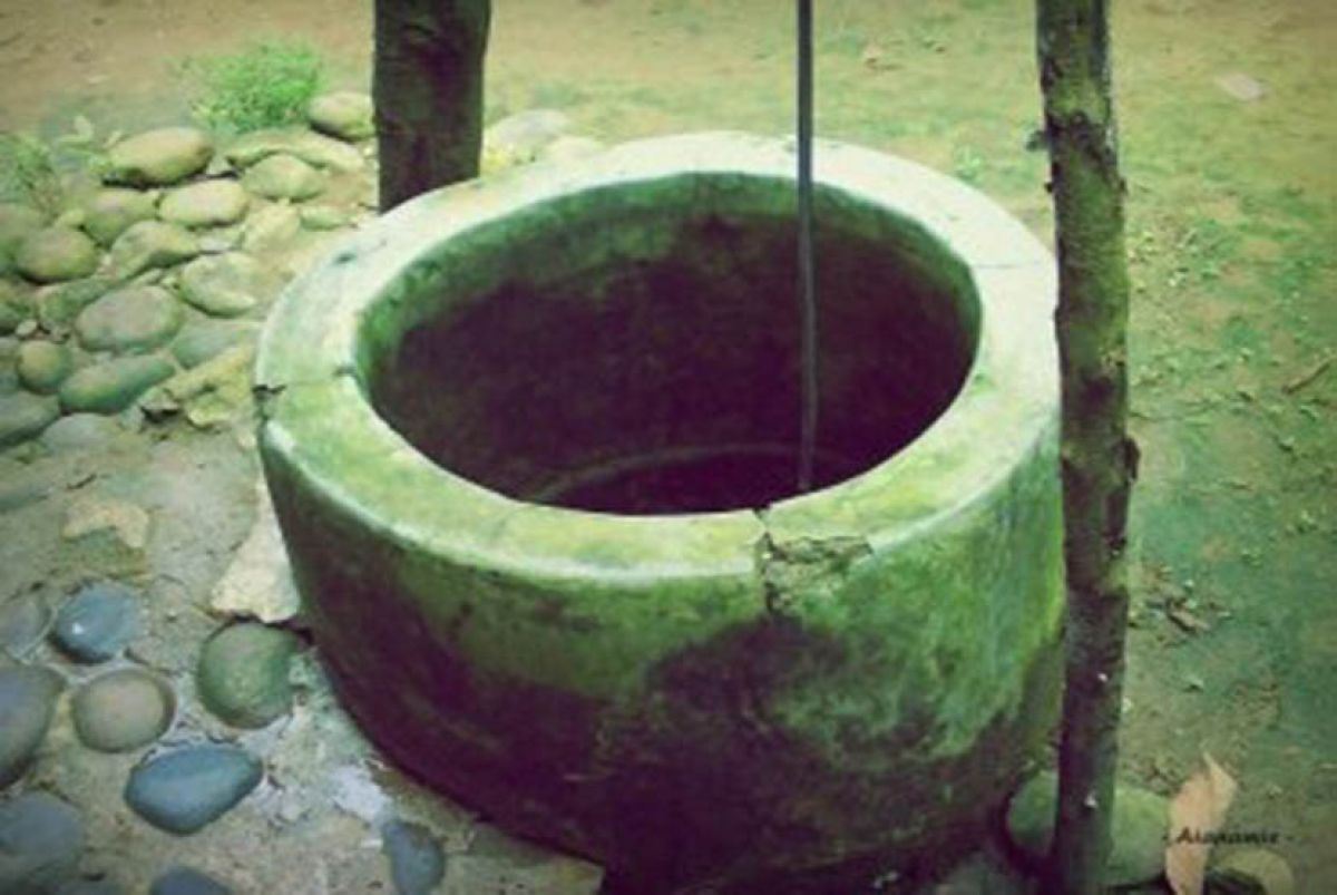 Diduga Depresi, Pria asal Banyuwangi Nyemplung ke Sumur