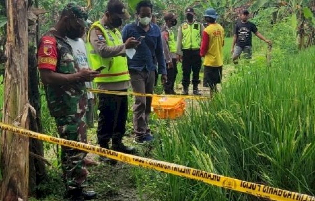 Olah TKP Petani tewas tersengat aliran listrik di sawahnya (Foto: Polres Ngawi/jatimnow.com)