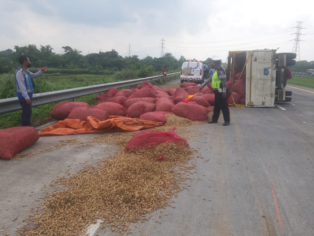 Truk muatan kacang terguling di Tol Gempol-Pasuruan. (Foto: PJR Polda Jatim/jatimnow.com)