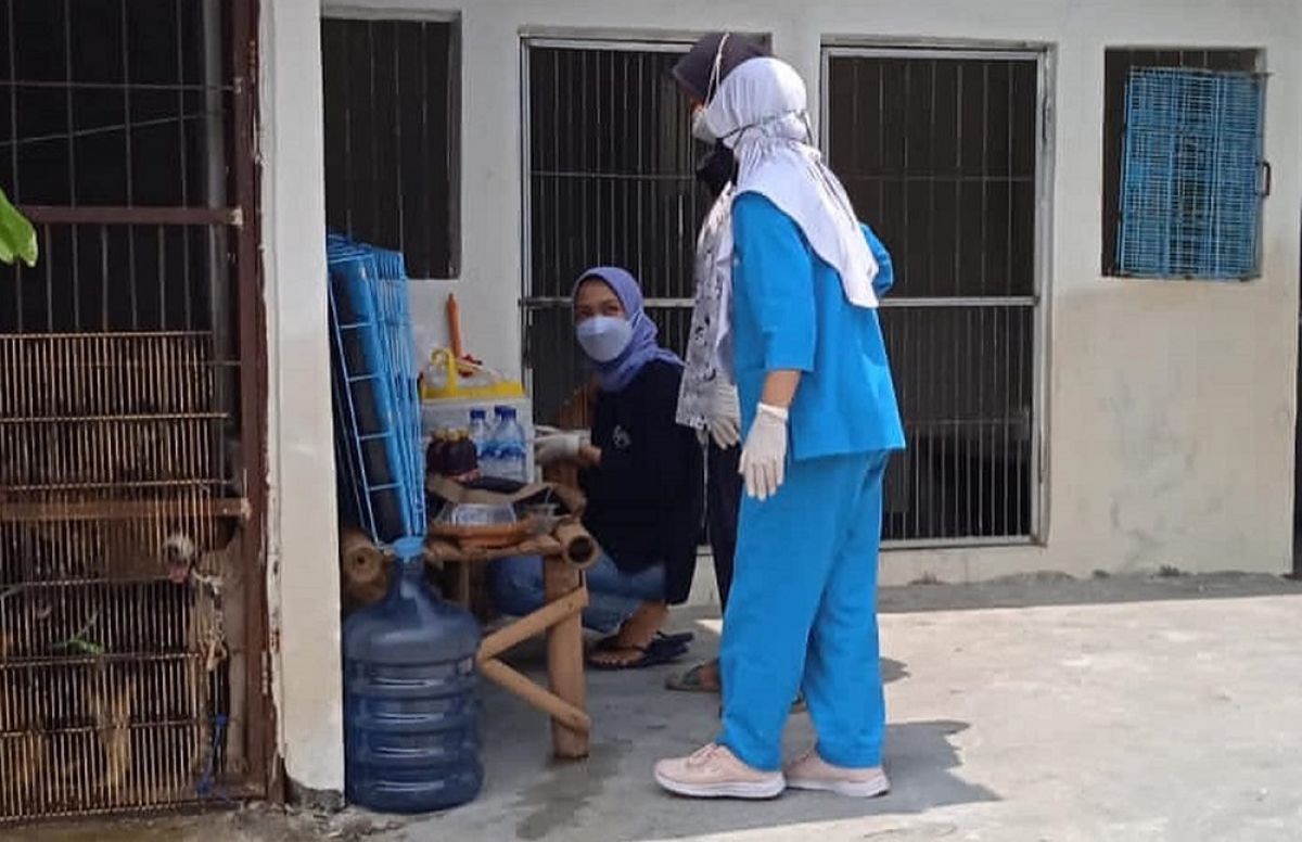 Tim kesehatan memeriksa kondisi anjing. (Foto: Animal Hope Shelter for jatimnow.com)
