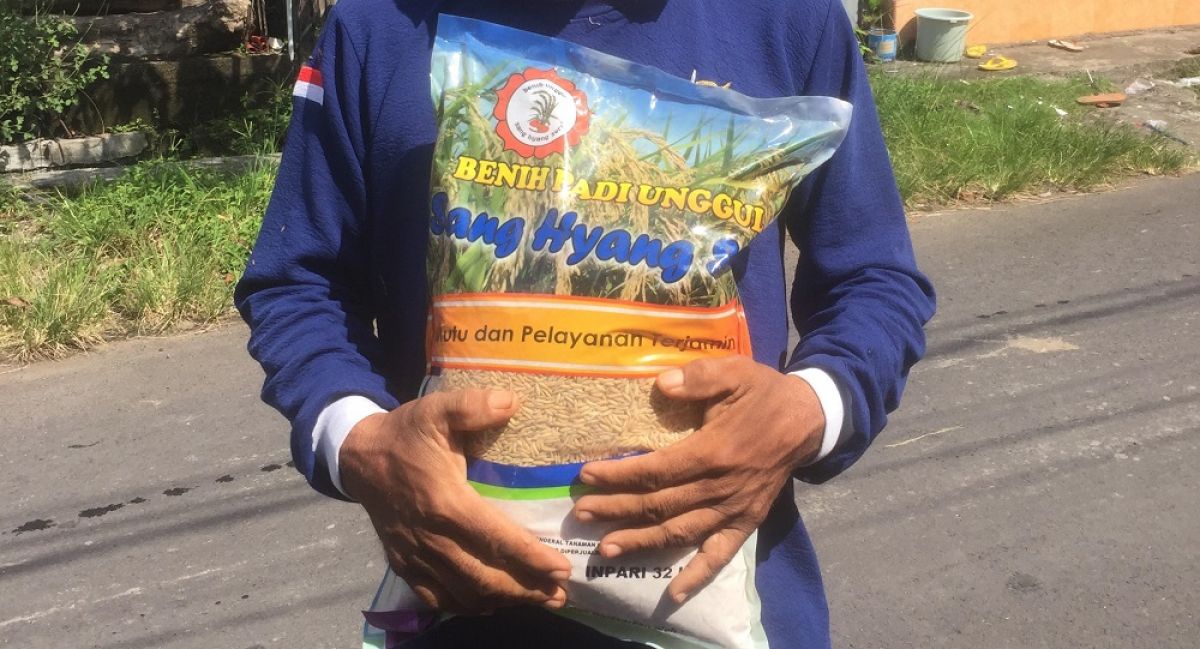 Petani YF menunjukkan bantuan berupa benih padi yang harus dibayarnya. (Foto: Rony Subhan/jatimnow.com)