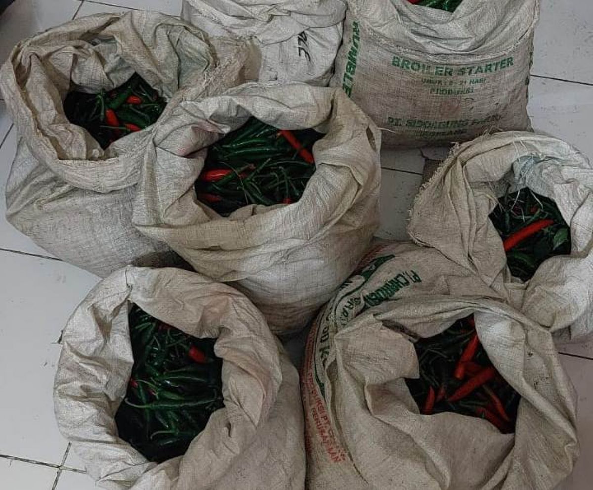 Barang bukti cabai curian dua pelaku yang diamankan warga. (Foto: Galih Rakasiwi/jatimnow.com)