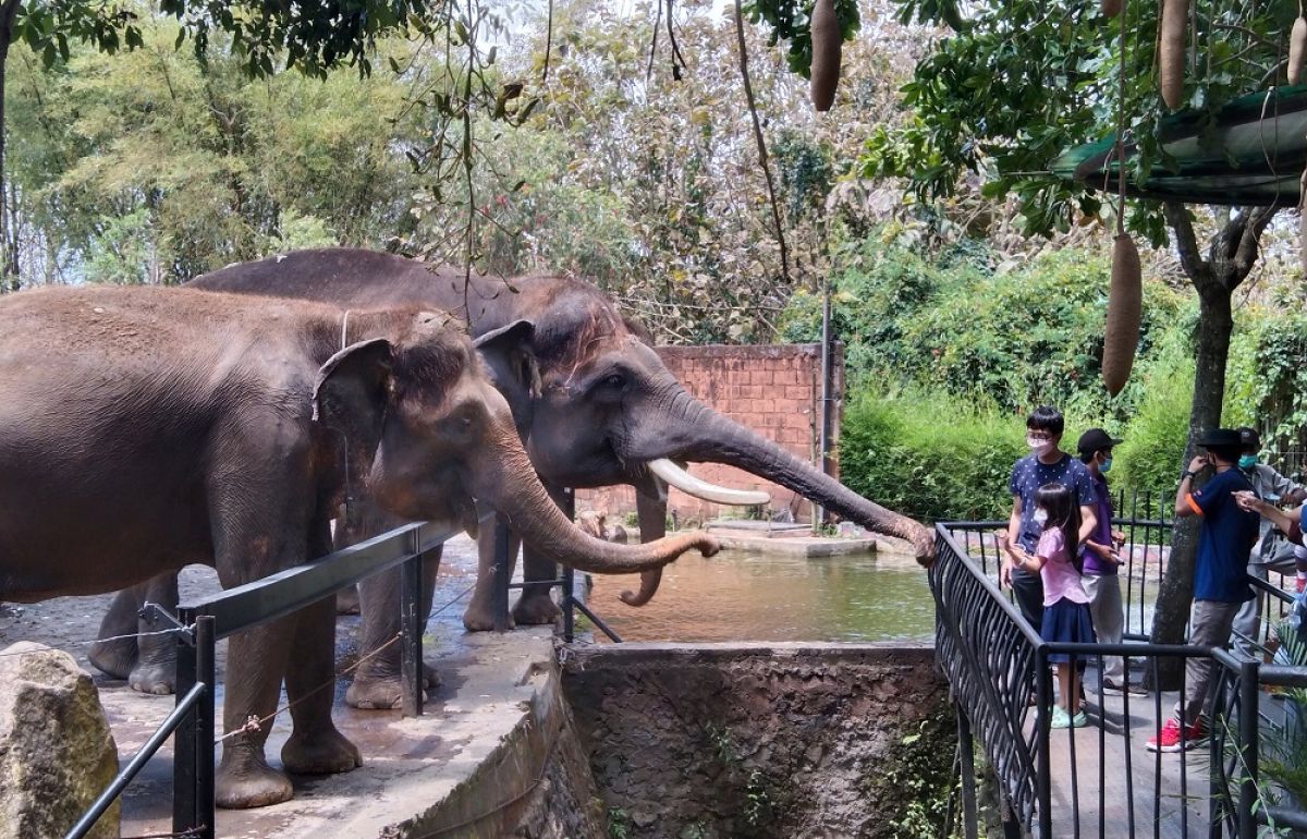 Pengunjung menikmati wisata di Jatim Park 1, Kota Batu. (Foto: Galih Rakasiwi/jatimnow.com)