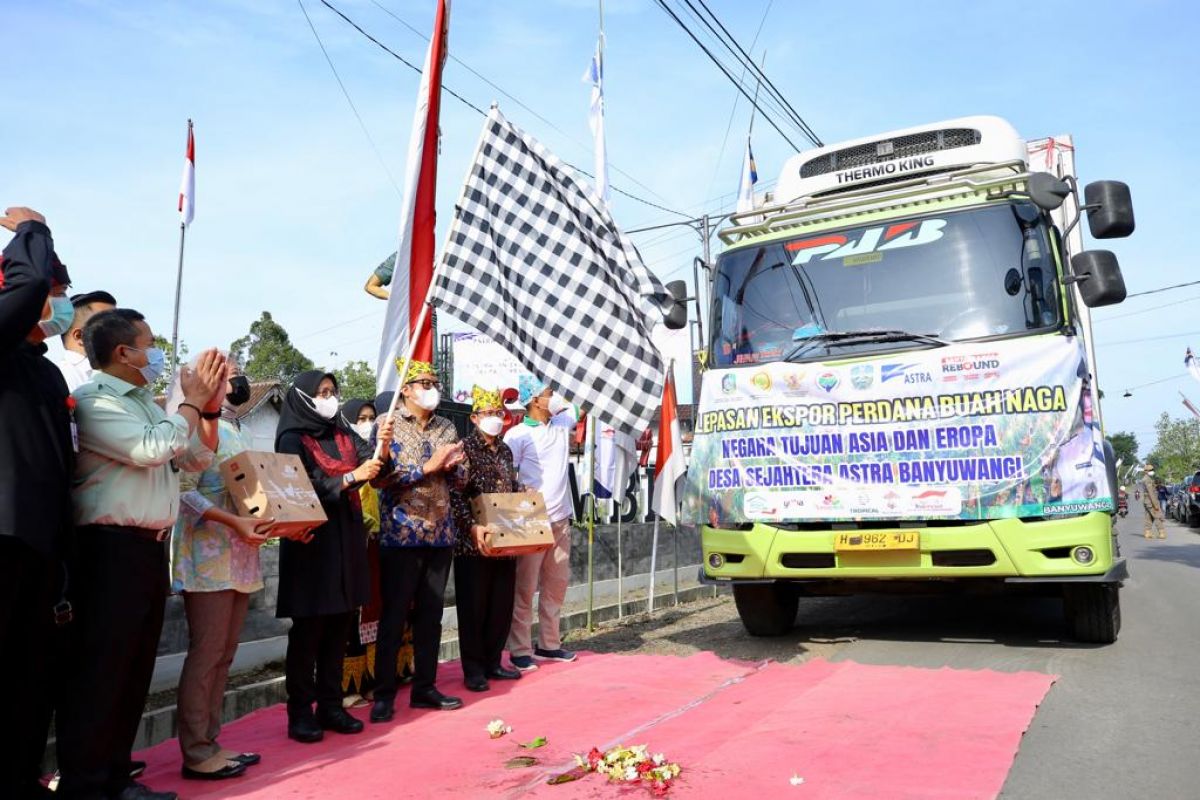 Bupati Banyuwangi Ipuk Fiestiandani saat melepas ekspor buah naga ke Asia dan Eropa (Foto-foto: Humas Pemkab Banyuwangi)