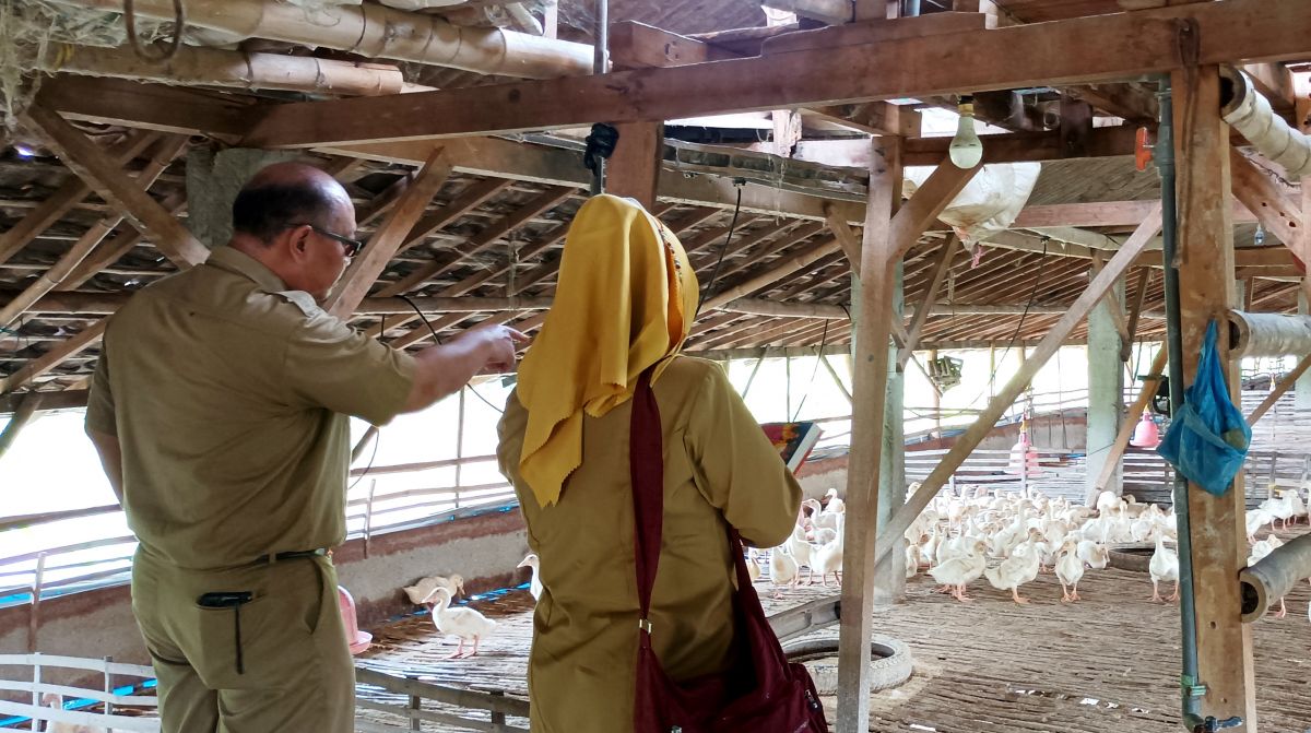 Petugas Dinas Pertanian Kabupaten Gresik saat melakukan Sidak (Foto: Sahlul Fahmi/jatimnow.com)