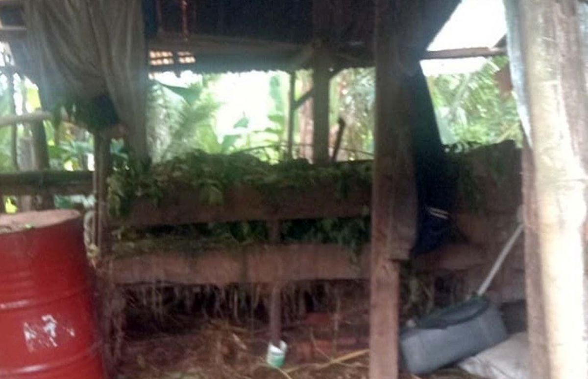 Kandang milik warga di Banyuwangi yang jadi korban pencurian sapi (Foto: Abdul Rizak for jatimnow.com)