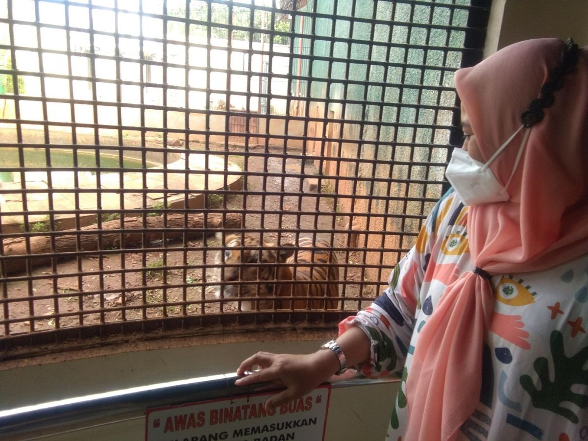 Koordinator Marketing Juli Tri Wahyuningtyas saat menunjukan salah satu satwa di Mazoola. (Foto: Adyad Ammy I./jatimnow.com)