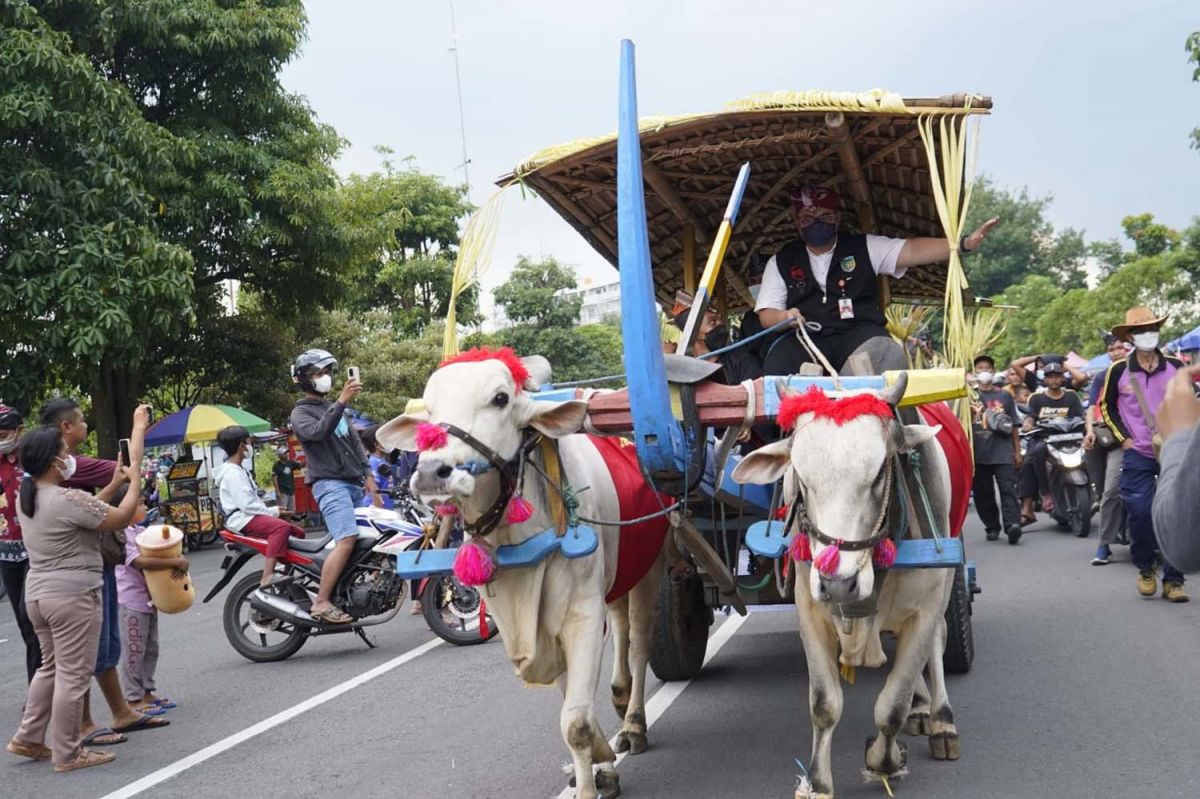 Mas Dhito kendalikan cikar di Hari Jadi ke-1218 Kabupaten Kediri (Foto-foto: Humas Pemkab Kediri)
