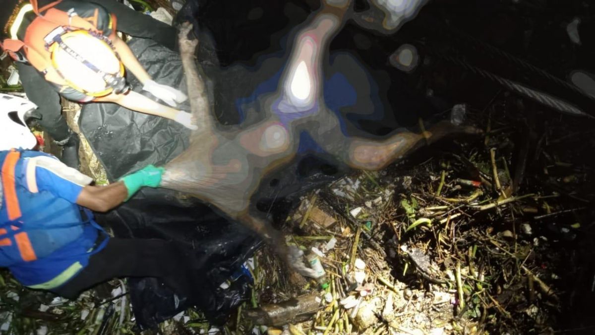 Proses evakuasi mayat tanpa identitas di tepi Sungai Brantas.(Foto: Relawan Sidoarjo for Jatimnow)