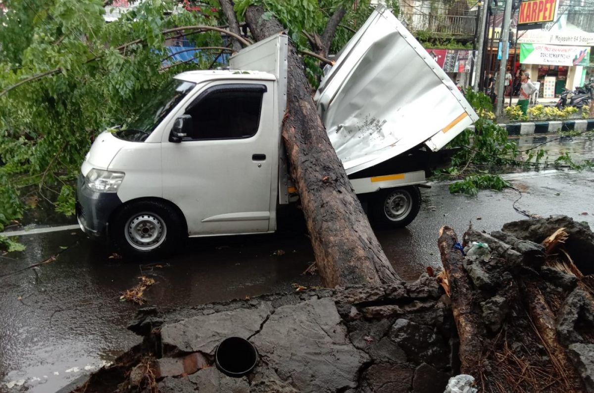 Pohon tumbang yang mengenai kendaraan bermotor di beberapa titik di Sidoarjo (Foto: Relawan Pramuka Sidoarjo for jatimnow.com)