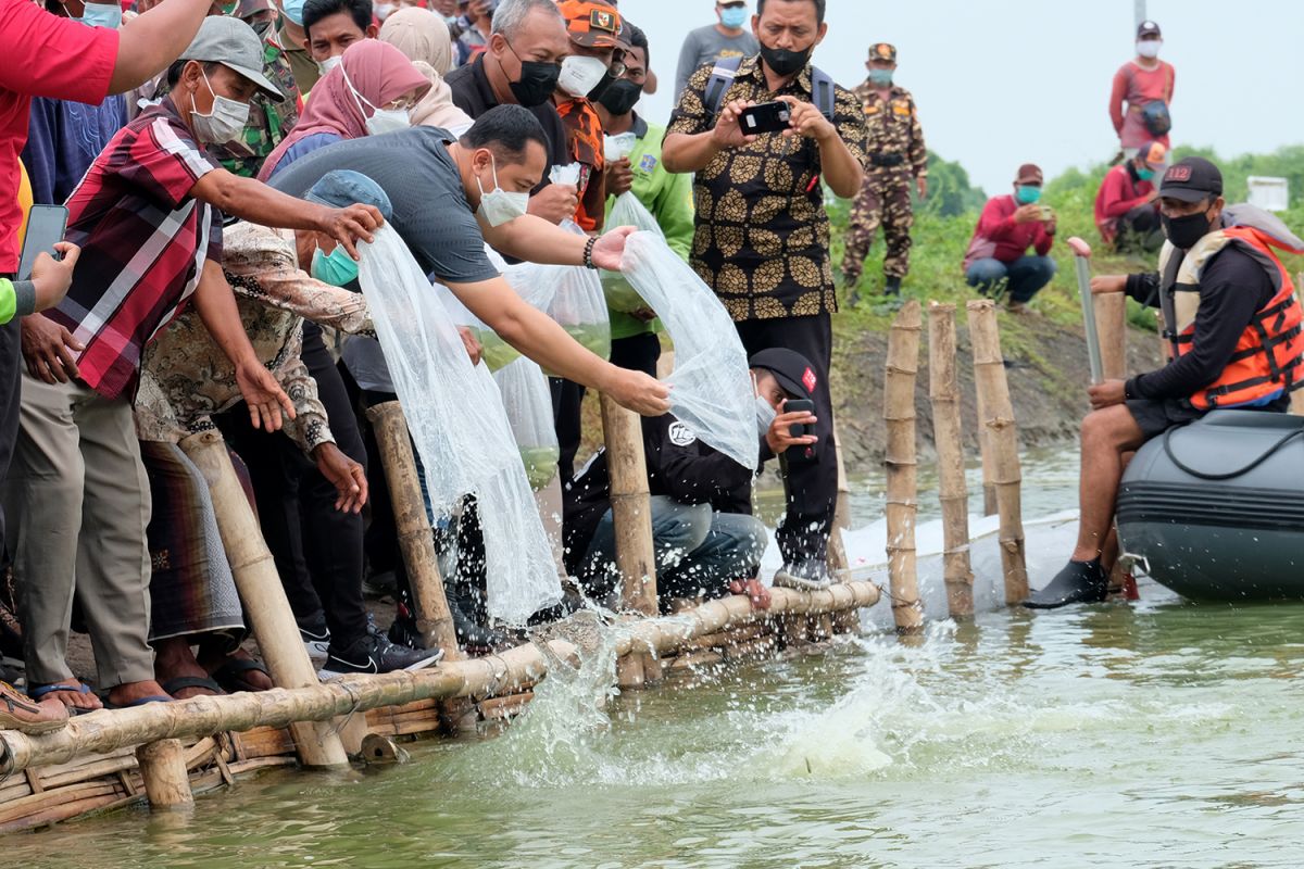 Wali Kota Surabaya Eri Cahyadi melepas bibit Bandeng dan Lele di salah satu kawasan BTKD Gendong, Kecamatan Pakal (Dok Humas Pemkot Surabaya/jatimnow.com)