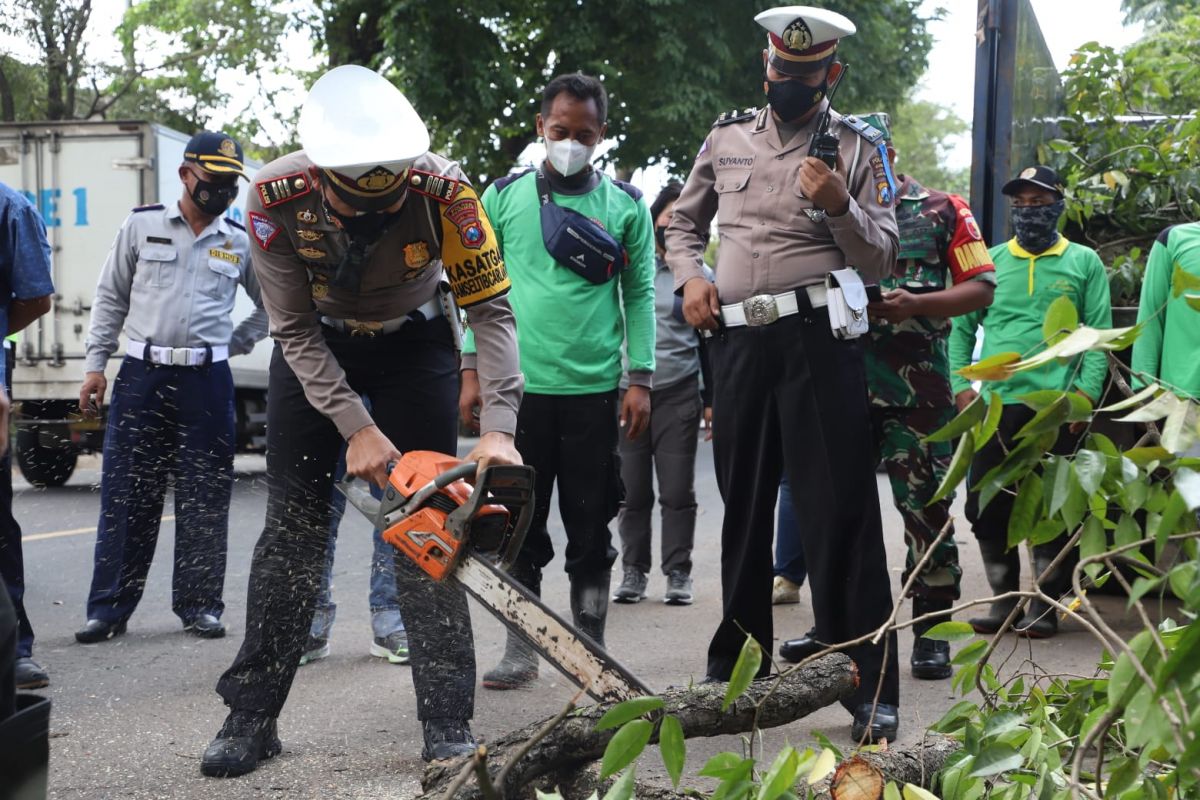 Kasat Lantas AKP Arpan memimpin pemotongan ranting pohon. (Foto: Satlantas Polres Mojokerto for jatimnow.com)