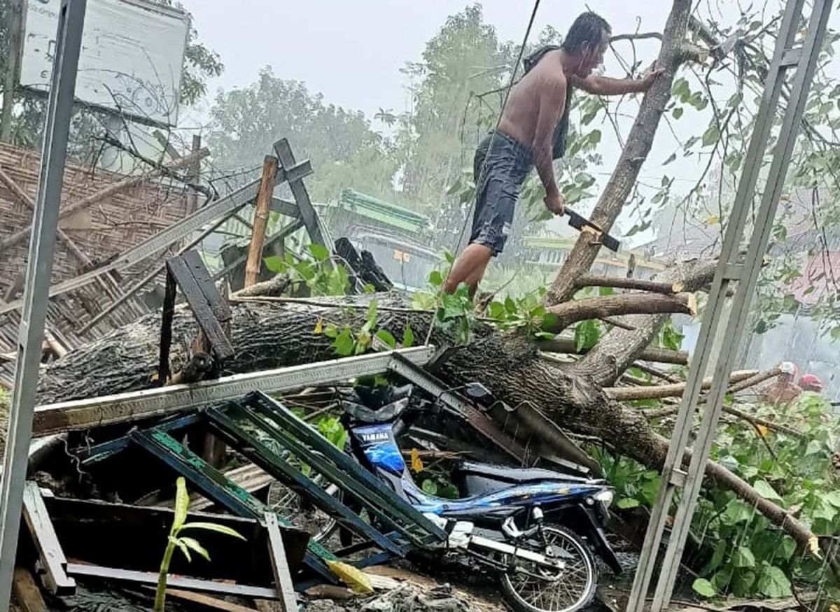 Pohon tumbang di Mojokerto menimpa tiga motor (Foto: Nor for jatimnow.com)