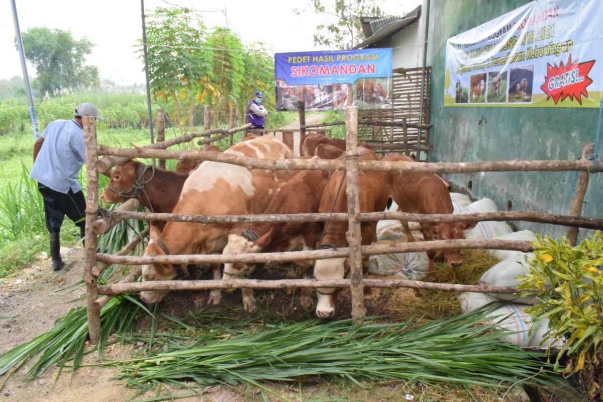 Tenang, Pemkab Lamongan Jamin Stok Daging Sapi dan Beras Aman hingga Idul Adha