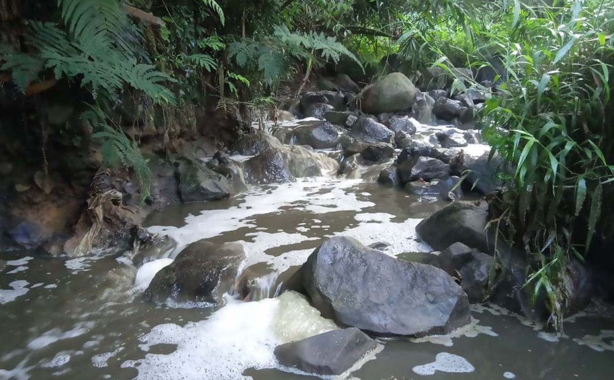 Sungai yang kotor karena limbah (Foto: Dokumen Kinan for jatimnow.com)