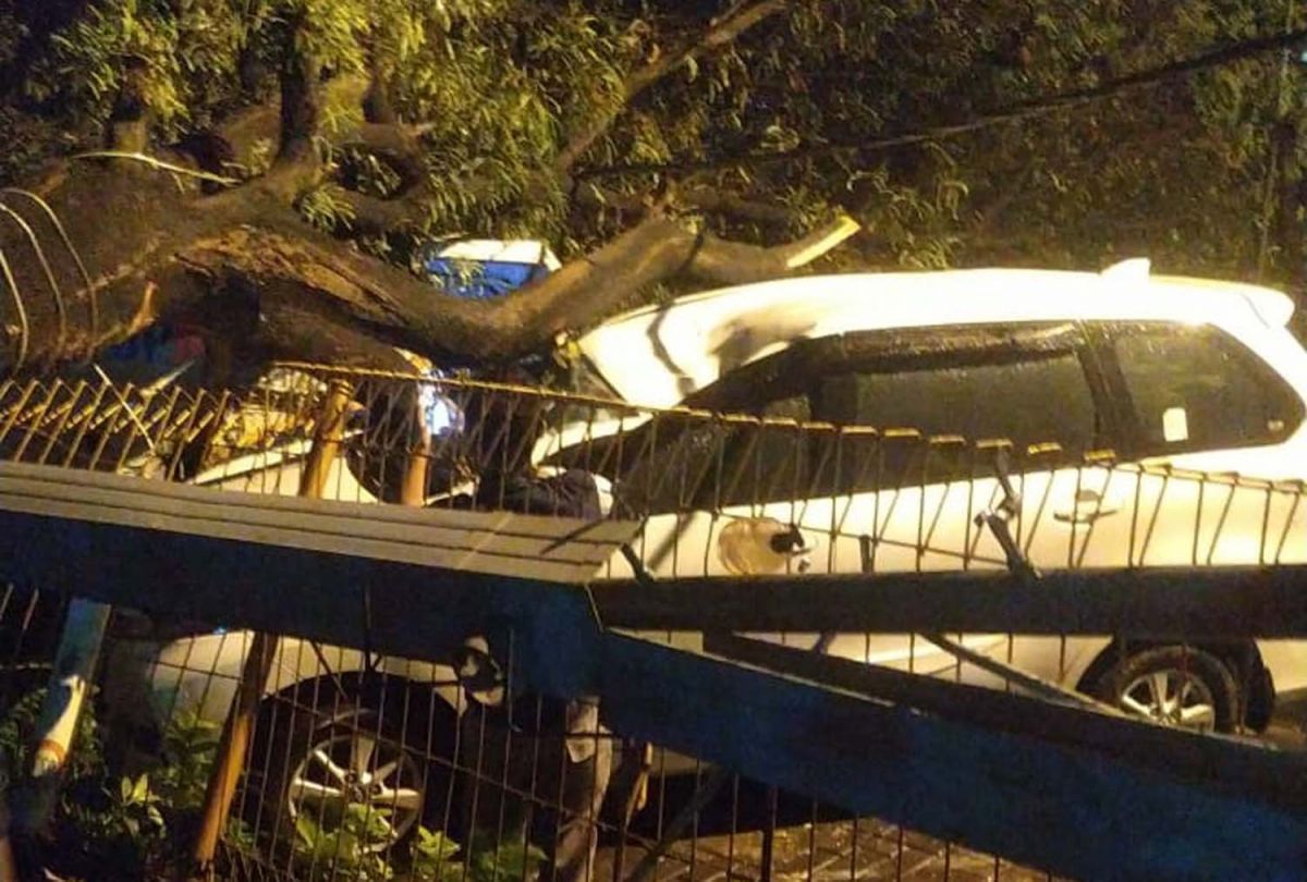 Relawan sedang mengevakuasi pohon tumbang yang melintang di jalan Perumahan Puri Surya Jaya, Gedangan, Sidoarjo (Foto-foto: Zainul Fajar/jatimnow.com)