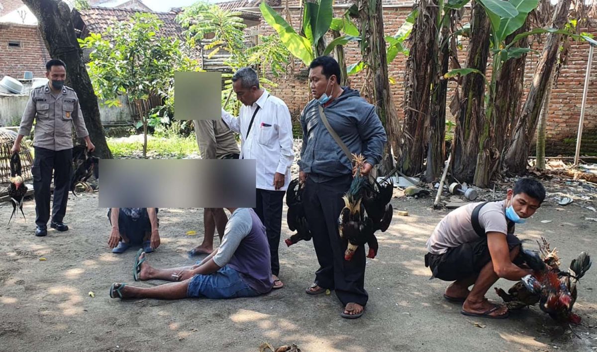 Penggerebekan arena judi sabung ayam di Rejosopinggir, Jombang (Foto: Polsek Tembelang)