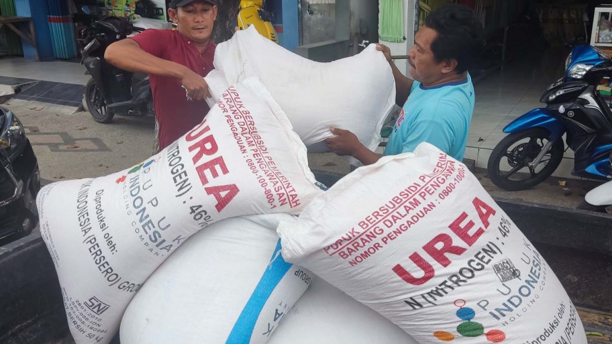 Aktivitas di tempat distributor pupuk bersubsidi UD. Usaha Tani Jalan KH. Wahid Hasyim, Sampang, Selasa (26/4/2022) - (Foto: Fathor Rahman/jatimnow.com)