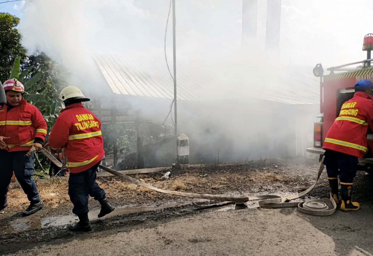 Petugas berupaya memadamkan api yang membakar tempat penyulingan daun cengkeh di Tulungagung (Foto: Damkar Tulungagung)