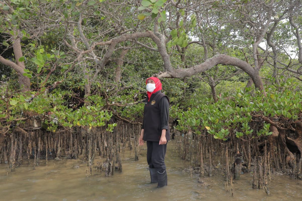 Gubernur Jawa Timur (Jatim) Khofifah Indar Parawansa.(Foto: Humas Pemprov Jatim)