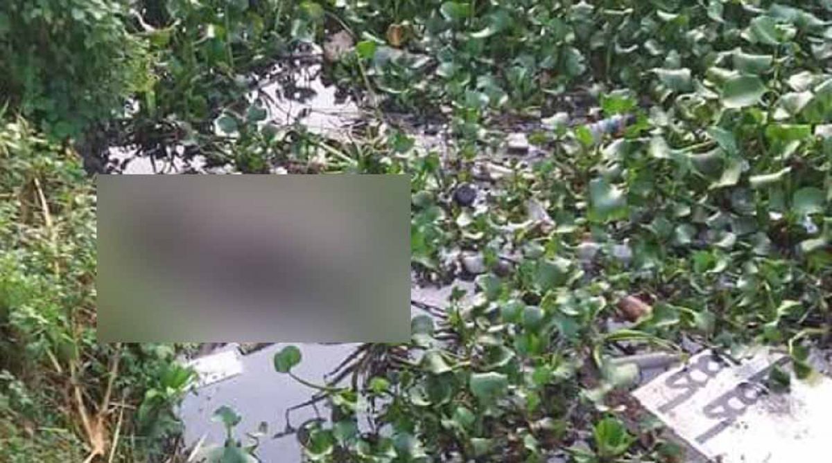 Mayat pria tanpa identitas di kerumunan eceng gondok. (Foto: Facebook Tmbuss di grup ILSDS)